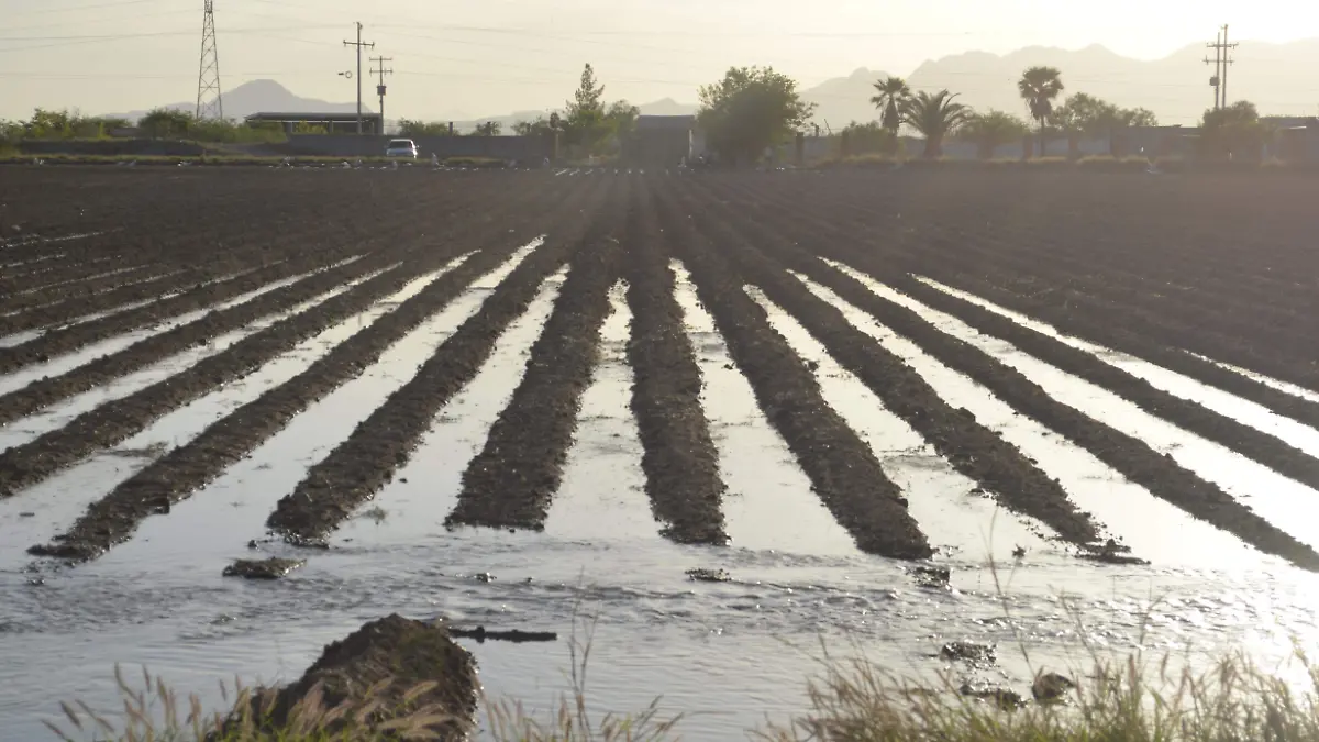 Tierras irrigadas